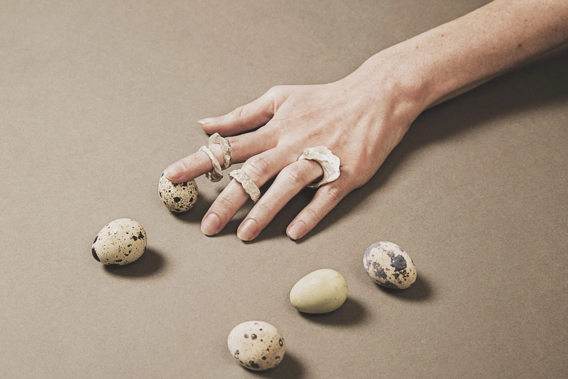 Egg - image 4