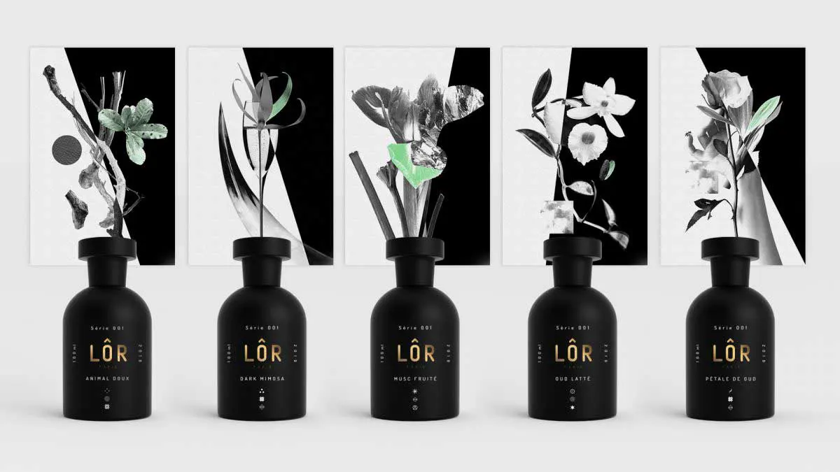 Lôr - image 4
