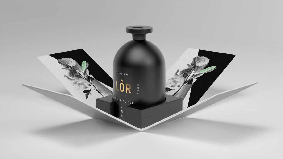 Lôr - image 6